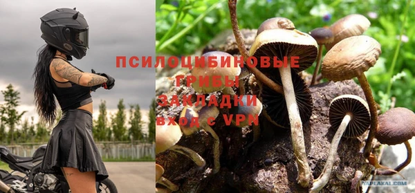 спайс Кущёвская